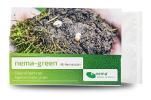 Nema-Green nicienie zwalczające pędraki 500mln na 1000m2