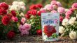 Planton R nawóz do róż 200 g NPK rozpuszczalny Plantpol - 7