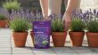 Planton L nawóz do lawendy 200 g NPK z wapniem Plantpol - 4