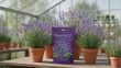 Planton L nawóz do lawendy 200 g NPK z wapniem Plantpol - 5