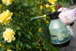 Opryskiwacz ciśnieniowy 1,5L AQUA SPRAY CLEAR - 5