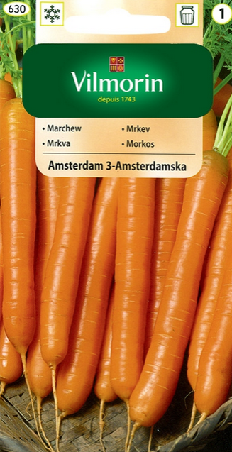 Marchew wczesna Amsterdamska 5g Vilmorin