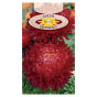 Aster peoniowy Czerwony 1g