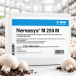 Nemasys M 250 mln – pożyteczne nicienie na ziemiórki w uprawie pieczarek - 2
