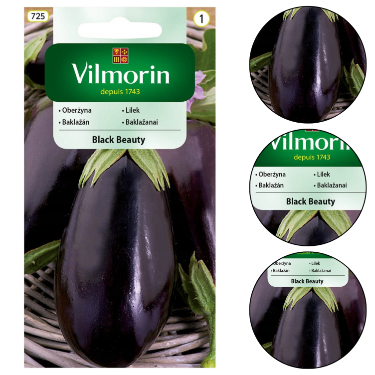 Bakłażan Black Beauty 2g Vilmorin Oberżyna