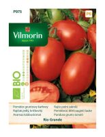 Pomidor gruntowy Rio Grande 0,5g Vilmorin