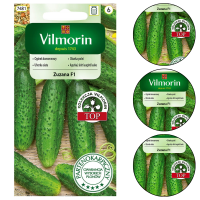 Ogórek gruntowy mieszaniec Zuzana F1 3g Vilmorin