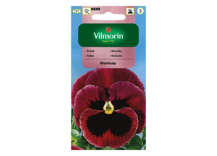 Ratek Ogrodowy Wielkokwiatowy Szwajcarski Blumlisalp purpurowy z czarnym okiem (VIOLA WITTROCKIANA) 0,5g