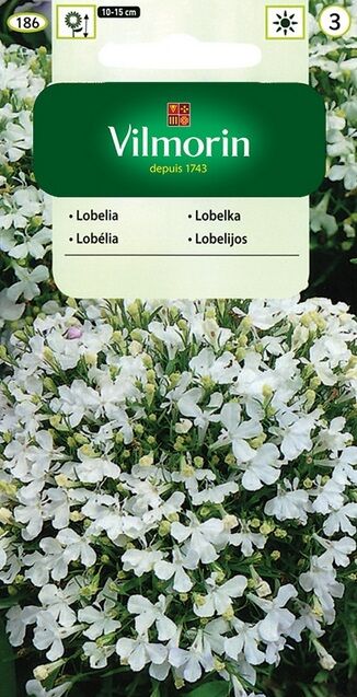 Lobelia, Stroiczka niebieska Blue Carpet 0,5g Vilmorin
