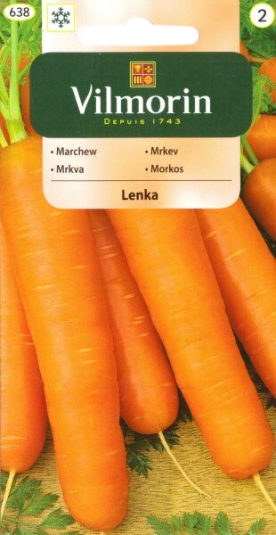 Marchew Lenka 5g Vilmorin