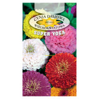 Cynia o dużych kwiatach Mieszanka (Super Yoga) 1g