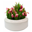 Krokus różowy sztuczny 21 cm – wiosenna dekoracja kwiatowa do wnętrz - 3