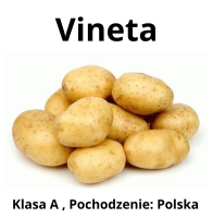 Ziemniaki Vineta 25kg Sadzeniaki Klasa A 35-55mm Wczesne PL