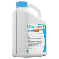 Banjo 500 SC 5L