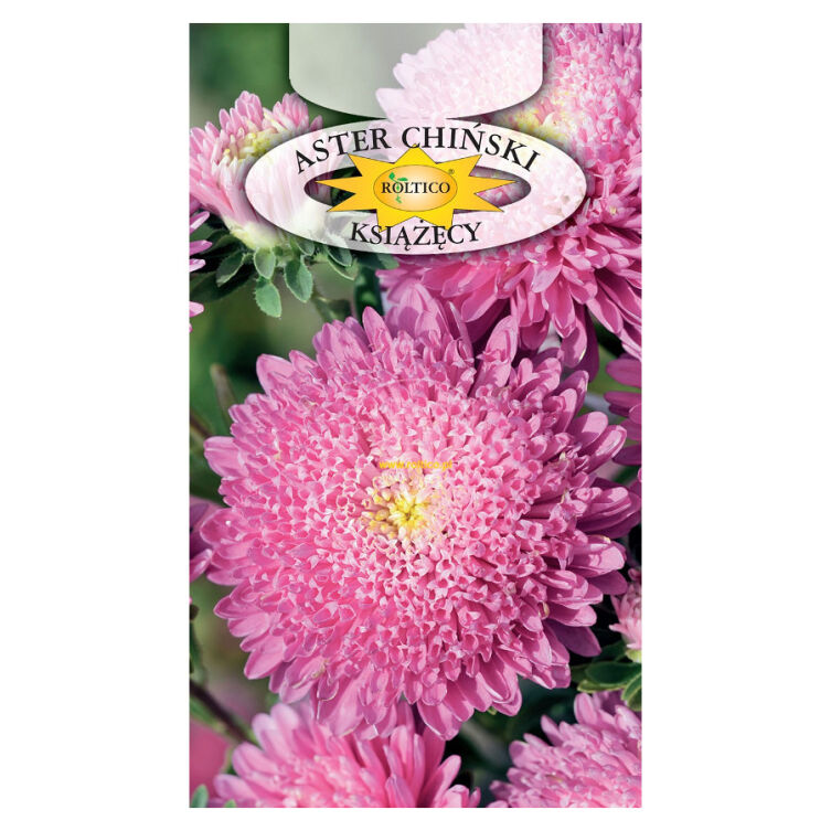 Aster książęcy Różowy 1g