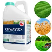 Chwastox Complex 260 EW 5L na chwasty w trawniku