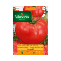 Pomidor gruntowy karłowy Hector 100mg Vilmorin